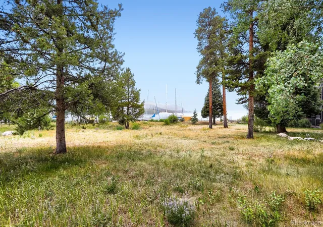 Homes for sale in Dillon, CO | 160 E La Bonte Street, Dillon, CO 80435 | Houzeo