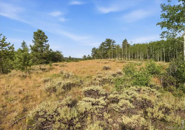 31st image of 43 Chetco Ct, Red Feather Lakes, CO 80545 | MLS# IR1063842