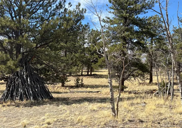 Photo 3 of Land for sale at 147 Bordenville Rd, Jefferson, CO 80456 | MLS# 6958791 | Listing updated on 2026-07-10