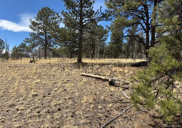 Photo 4 of Land for sale at 147 Bordenville Rd, Jefferson, CO 80456 | MLS# 6958791 | Listing updated on 2026-07-10
