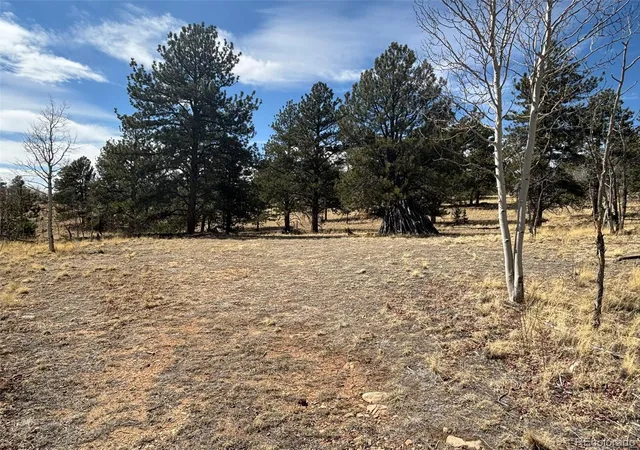 Photo 5 of Land for sale at 147 Bordenville Rd, Jefferson, CO 80456 | MLS# 6958791 | Listing updated on 2026-07-10