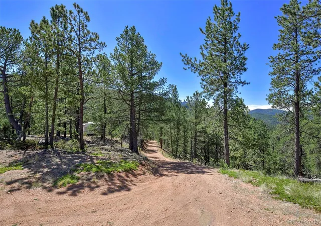 2nd image of 20083 S State Hwy 67, Divide, CO 80814 | MLS# 6502251