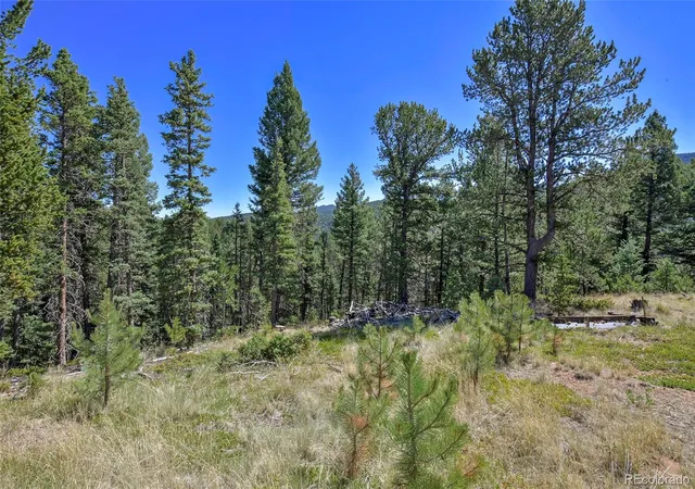 3rd image of 20083 S State Hwy 67, Divide, CO 80814 | MLS# 6502251