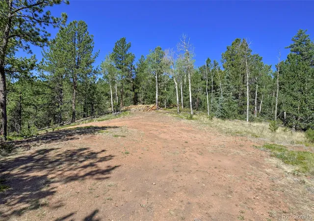 4th image of 20083 S State Hwy 67, Divide, CO 80814 | MLS# 6502251