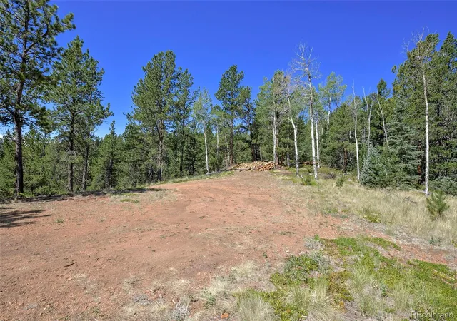 5th image of 20083 S State Hwy 67, Divide, CO 80814 | MLS# 6502251