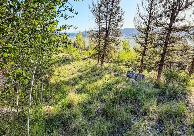 Homes for sale in Fairplay, CO | 4924 Middle Fork Vis, Fairplay, CO 80440 | MLS# 6811757