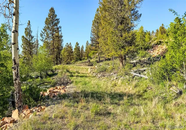 Homes for sale in Fairplay, CO | 4924 Middle Fork Vis, Fairplay, CO 80440 | MLS# 6811757