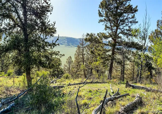 Homes for sale in Fairplay, CO | 4924 Middle Fork Vis, Fairplay, CO 80440 | MLS# 6811757