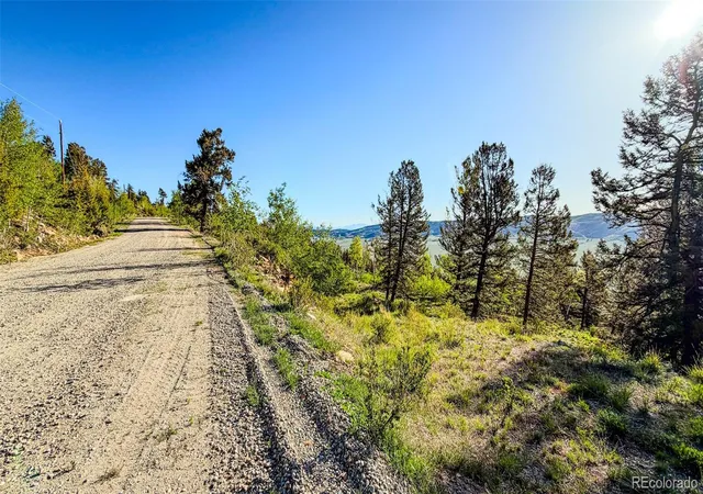 Homes for sale in Fairplay, CO | 4924 Middle Fork Vis, Fairplay, CO 80440 | MLS# 6811757