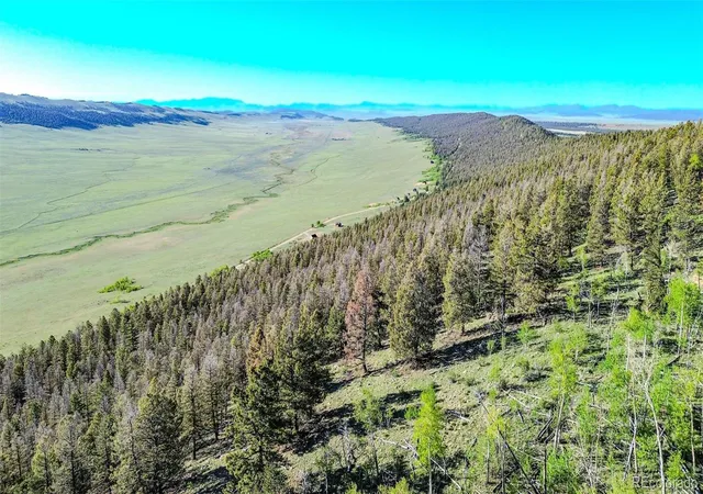 Homes for sale in Fairplay, CO | 4924 Middle Fork Vis, Fairplay, CO 80440 | MLS# 6811757