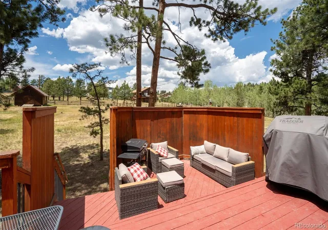 Homes for sale in Bailey, CO | 541 Beaver Trl, Bailey, CO 80421 | MLS# 8212248