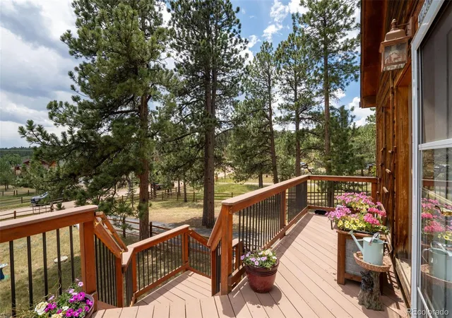 Homes for sale in Bailey, CO | 541 Beaver Trl, Bailey, CO 80421 | MLS# 8212248