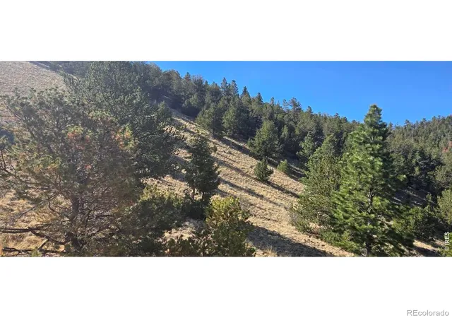 Homes for sale in Center, CO | 0 County Road 41g (camero Road), Center, CO 81125 | MLS# IR1063934