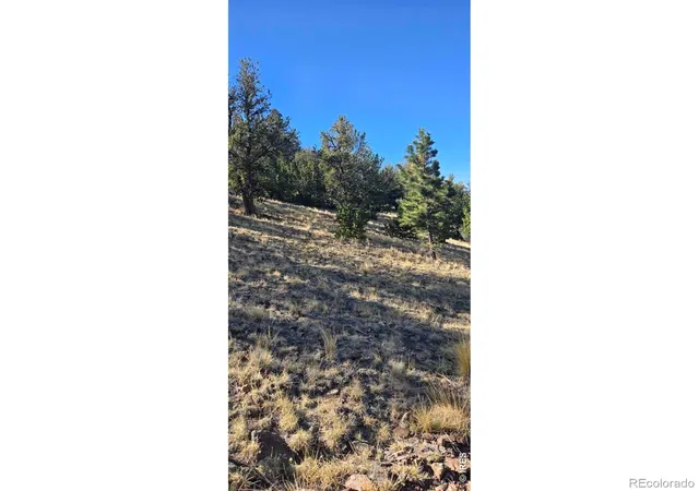 Homes for sale in Center, CO | 0 County Road 41g (camero Road), Center, CO 81125 | MLS# IR1063934