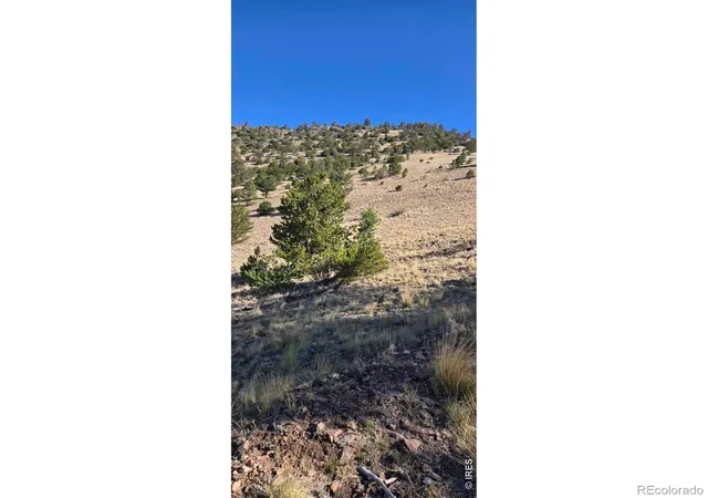 Homes for sale in Center, CO | 0 County Road 41G (Camero Road), Center, CO 81125 | MLS# IR1063934