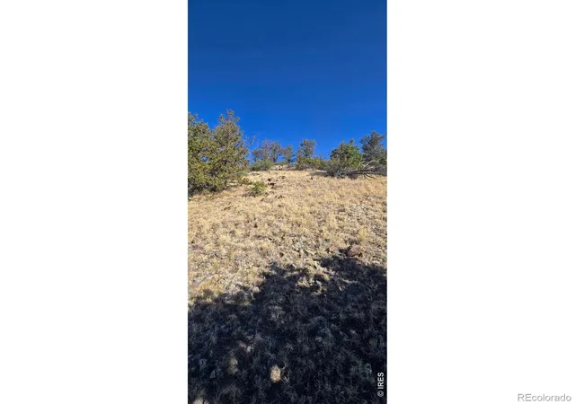 Homes for sale in Center, CO | 0 County Road 41G (Camero Road), Center, CO 81125 | MLS# IR1063934