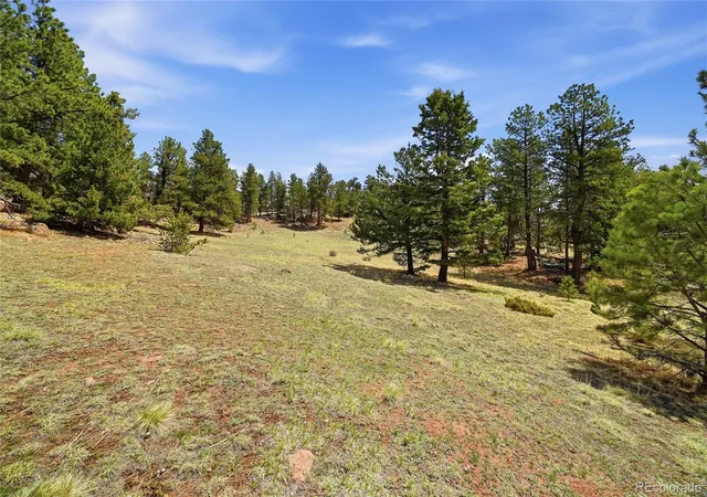 Homes for sale in Cripple Creek, CO | 7070 Cr 1, Cripple Creek, CO 80813 | MLS# 8957985