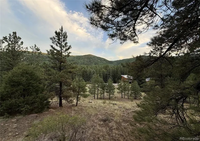Homes for sale in Antonito, CO | 2 Beaver Trl, Antonito, CO 81120 | MLS# 7193653