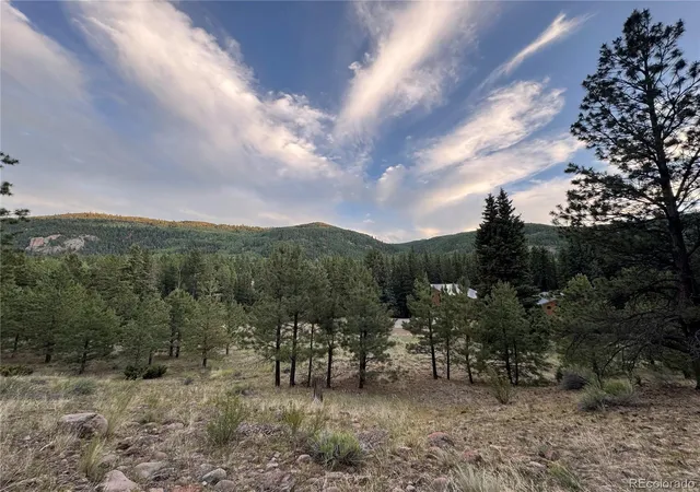 Homes for sale in Antonito, CO | 2 Beaver Trl, Antonito, CO 81120 | MLS# 7193653
