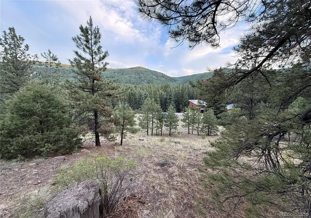 Homes for sale in Antonito, CO | 2 Beaver Trl, Antonito, CO 81120 | MLS# 7193653