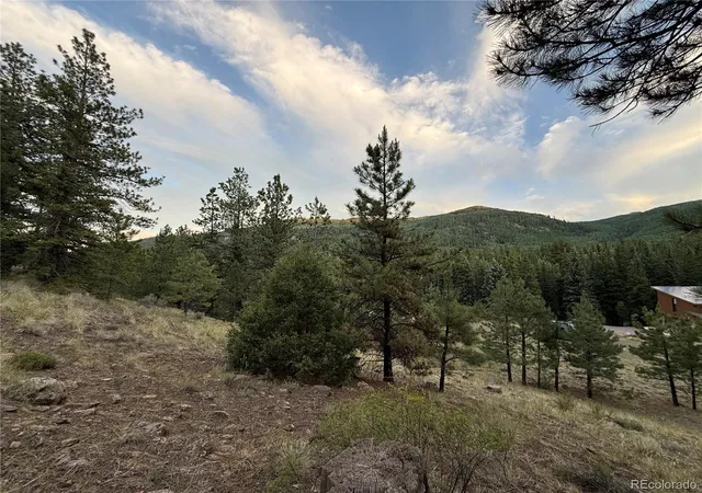 Homes for sale in Antonito, CO | 2 Beaver Trl, Antonito, CO 81120 | MLS# 7193653