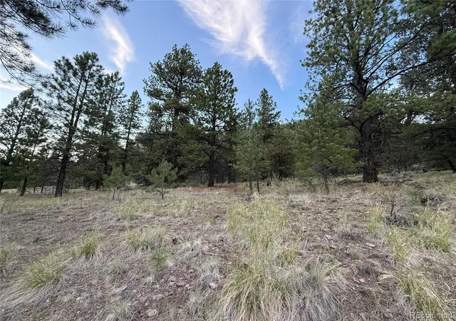 Homes for sale in Antonito, CO | 2 Beaver Trl, Antonito, CO 81120 | MLS# 7193653
