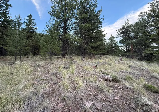 Homes for sale in Antonito, CO | 2 Beaver Trl, Antonito, CO 81120 | MLS# 7193653