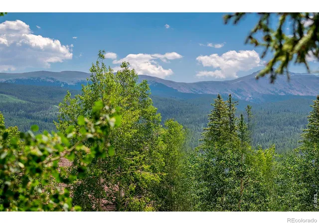 5th image of 139 Forest Trl, Winter Park, CO 80482 | MLS# IR1064028