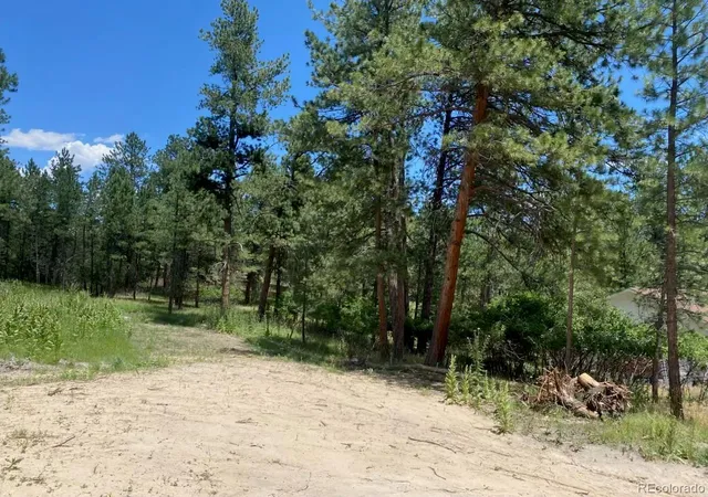 Homes for sale in Larkspur, CO | 1025 Tenderfoot Dr, Larkspur, CO 80118 | MLS# 4846165