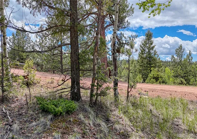 28th image of 26 N Eldorado Cir, Florissant, CO 80816 | MLS# 7395536