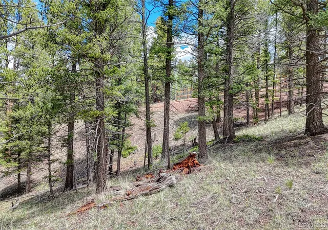 3rd image of 26 N Eldorado Cir, Florissant, CO 80816 | MLS# 7395536