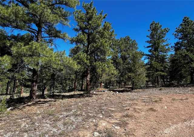 4th image of 960 Oak Dr, Westcliffe, CO 81252 | MLS# 3893143