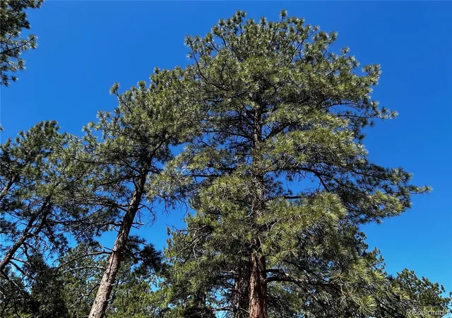 5th image of 960 Oak Dr, Westcliffe, CO 81252 | MLS# 3893143