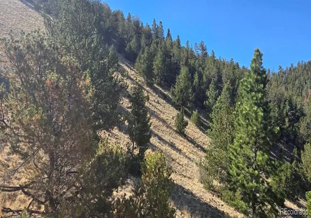 Homes for sale in Center, CO | 0 County Road 41g, Center, CO 81125 | MLS# 6507259