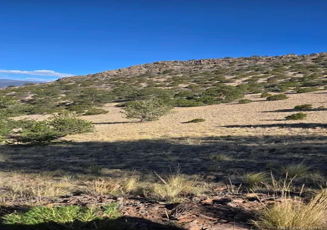 Homes for sale in Center, CO | 0 County Road 41G, Center, CO 81125 | MLS# 6507259