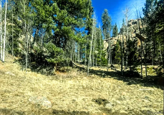 1st image of 987 Eagle Rock Rd, Florissant, CO 80816 | MLS# 8917763