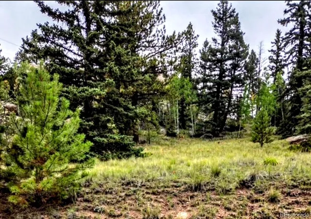 2nd image of 987 Eagle Rock Rd, Florissant, CO 80816 | MLS# 8917763