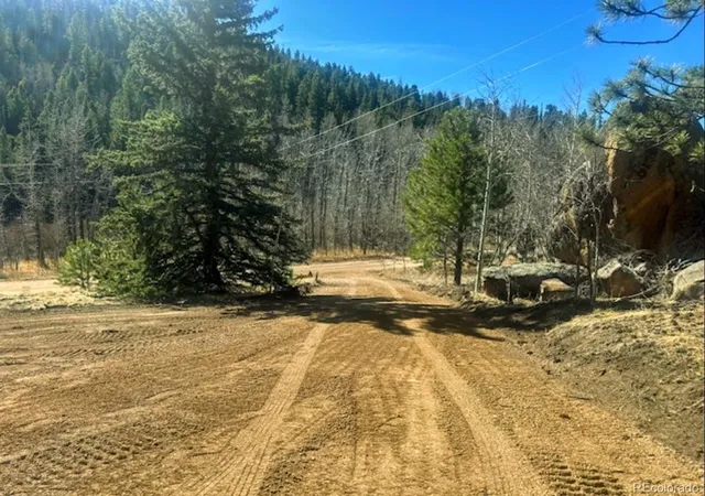 4th image of 987 Eagle Rock Rd, Florissant, CO 80816 | MLS# 8917763