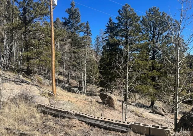 5th image of 987 Eagle Rock Rd, Florissant, CO 80816 | MLS# 8917763