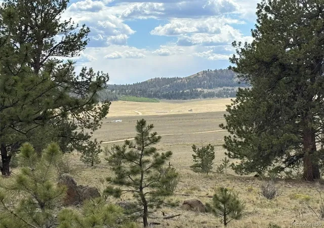 Homes for sale in Hartsel, CO | 99 Arapaho Ct, Hartsel, CO 80449 | MLS# 9271225
