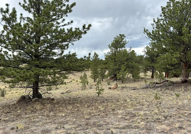 Homes for sale in Hartsel, CO | 99 Arapaho Ct, Hartsel, CO 80449 | MLS# 9271225