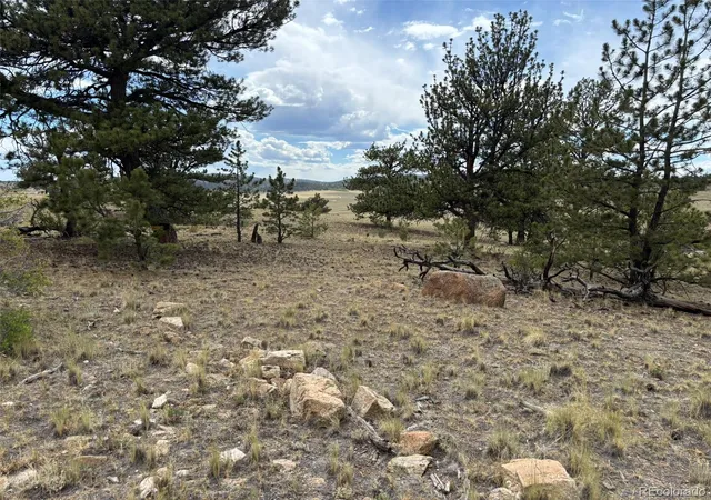 Homes for sale in Hartsel, CO | 99 Arapaho Ct, Hartsel, CO 80449 | MLS# 9271225