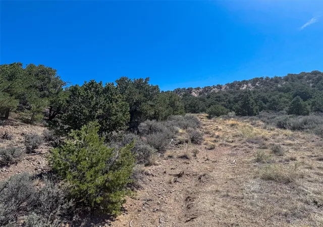 Homes for sale in Fort Garland, CO | 2153 Acapulco Rd, Fort Garland, CO 81133 | MLS# 6184872