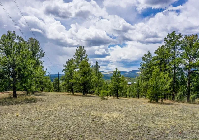 Photo 21 of Land for sale at 000 Doe Valley Rd, Guffey, CO 80820 | MLS# 9878572 | Listing updated on 2026-08-29