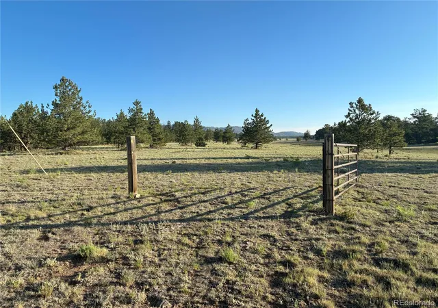 Photo 3 of Land for sale at 000 Doe Valley Rd, Guffey, CO 80820 | MLS# 9878572 | Listing updated on 2026-08-29