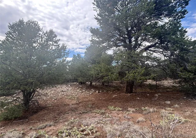 Photo 3 of Land for sale at 1661 Willow Crk Way, Crestone, CO 81131 | MLS# 5154649 | Listing updated on 2026-07-19