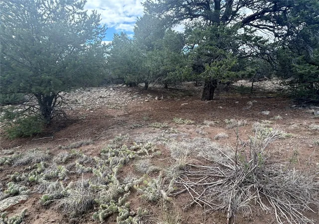 Photo 5 of Land for sale at 1661 Willow Crk Way, Crestone, CO 81131 | MLS# 5154649 | Listing updated on 2026-07-19