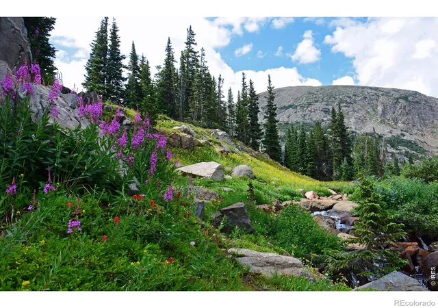 Photo 9 of Land for sale at 250 Eldora Rd, Nederland, CO 80466 | MLS# IR1064194 | Listing updated on 2026-07-20