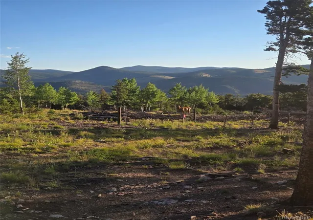 1st image of 000 Frank C, Idaho Springs, CO 80452 | MLS# 4009474