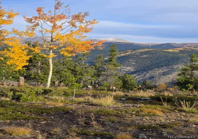 Photo 2 of Land for sale at 000 Frank C, Idaho Springs, CO 80452 | MLS# 4009474 | Listing updated on 2026-09-21